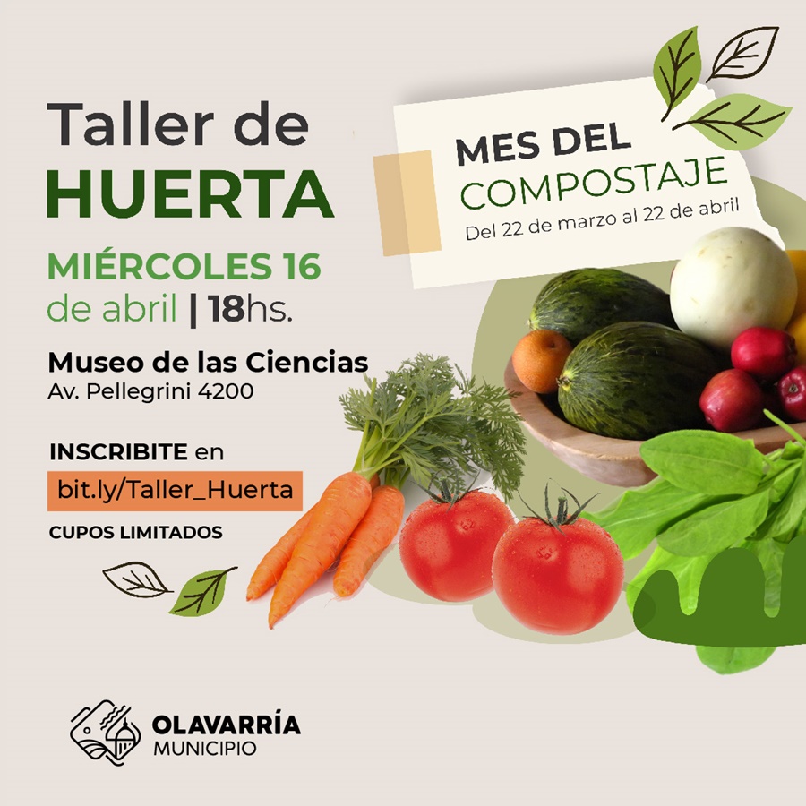 Continúan las propuestas en