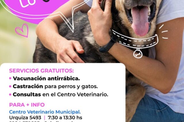 Cronograma semanal del quirófano