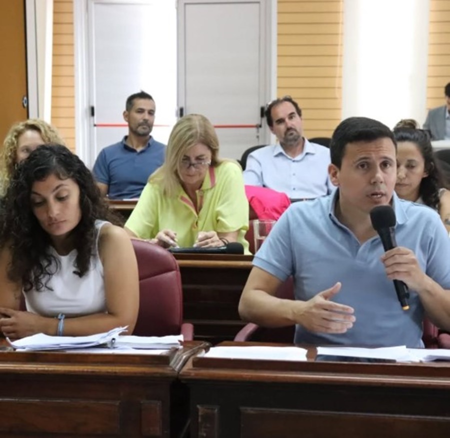 El ajuste de milei
