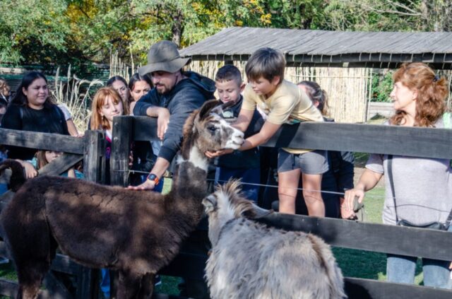 Actividades para este finde