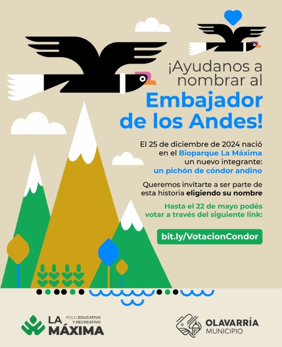 Buscan elegir el nombre