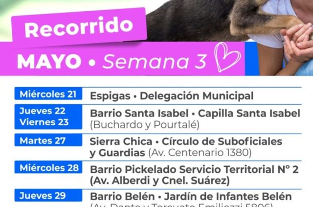 Cronograma semanal del quirófano