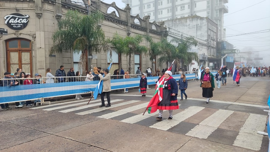Desfile 14