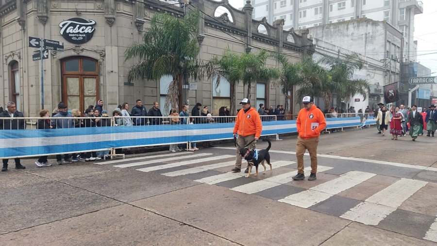 Desfile 24