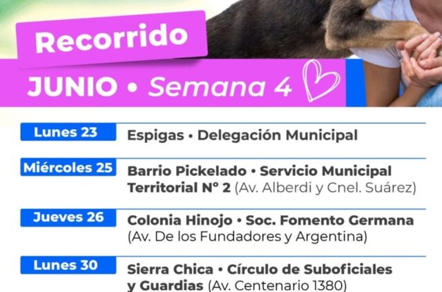 Cronograma para los próximos