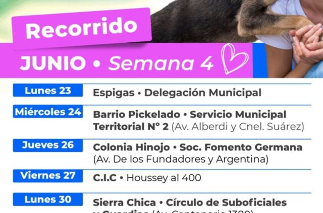Cronograma para los próximos
