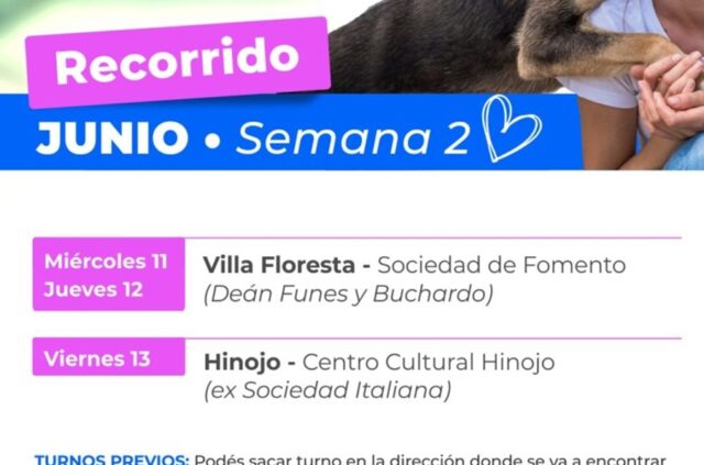 Recorrerá villa floresta e