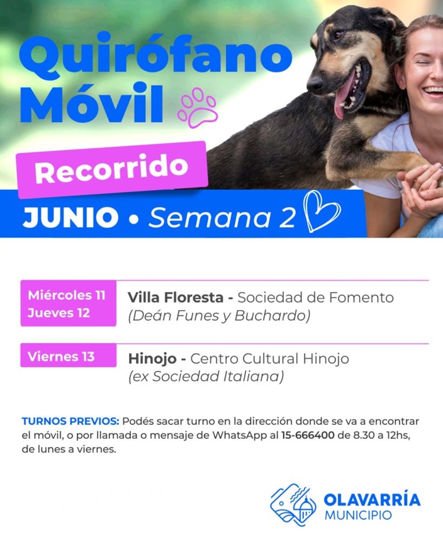 Recorrerá villa floresta e