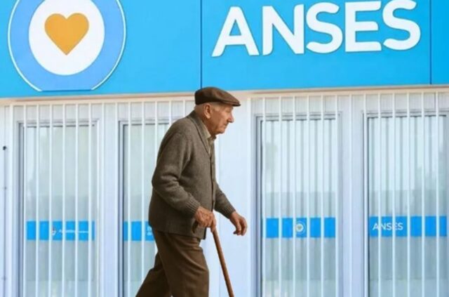 Anses confirmó que el
