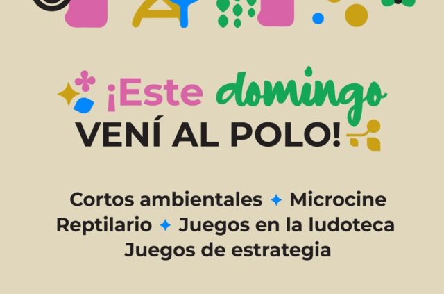 Actividades para disfrutar este