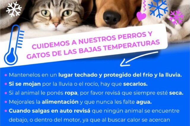 Bromatología ofrece recomendaciones para