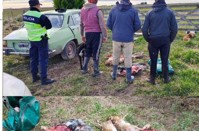 Interceptan a dos cazadores