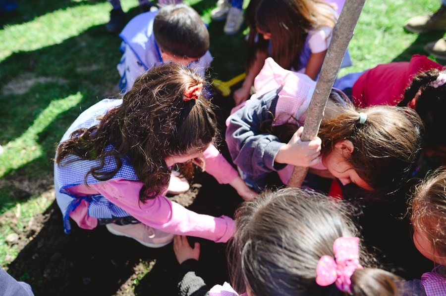 Actividades