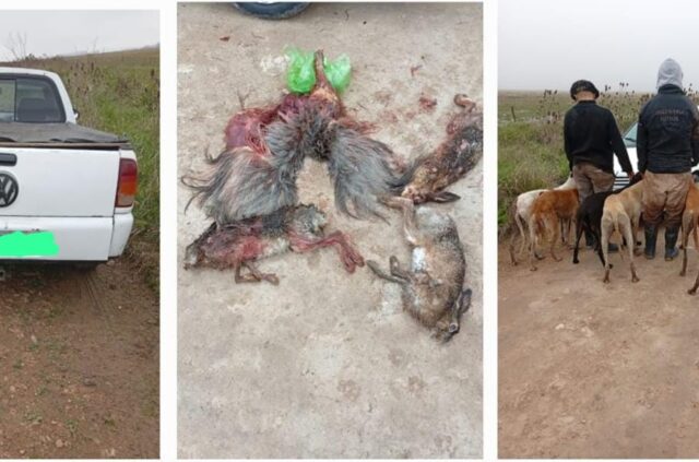 Detenidos por caza furtiva