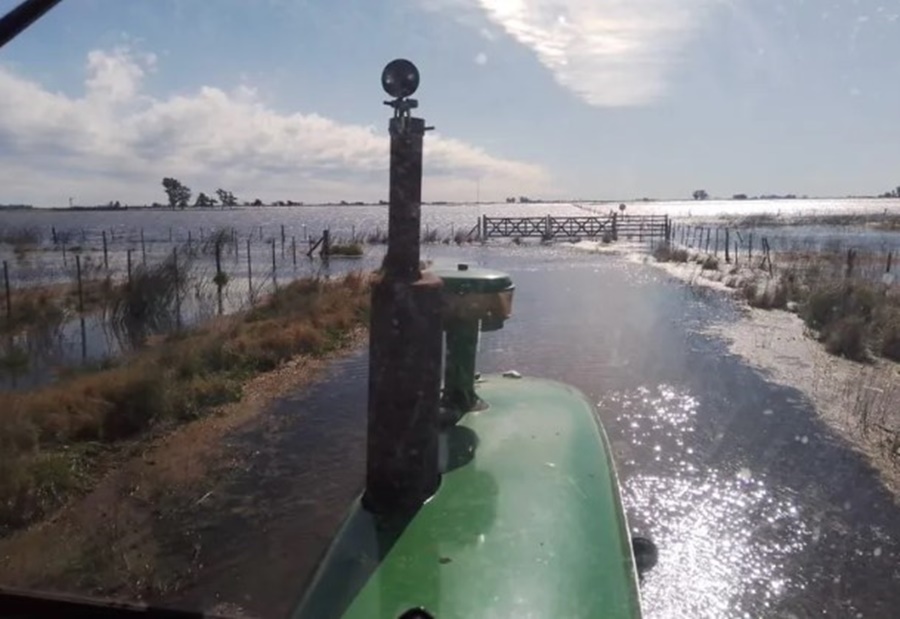 Miles de hectáreas bajo