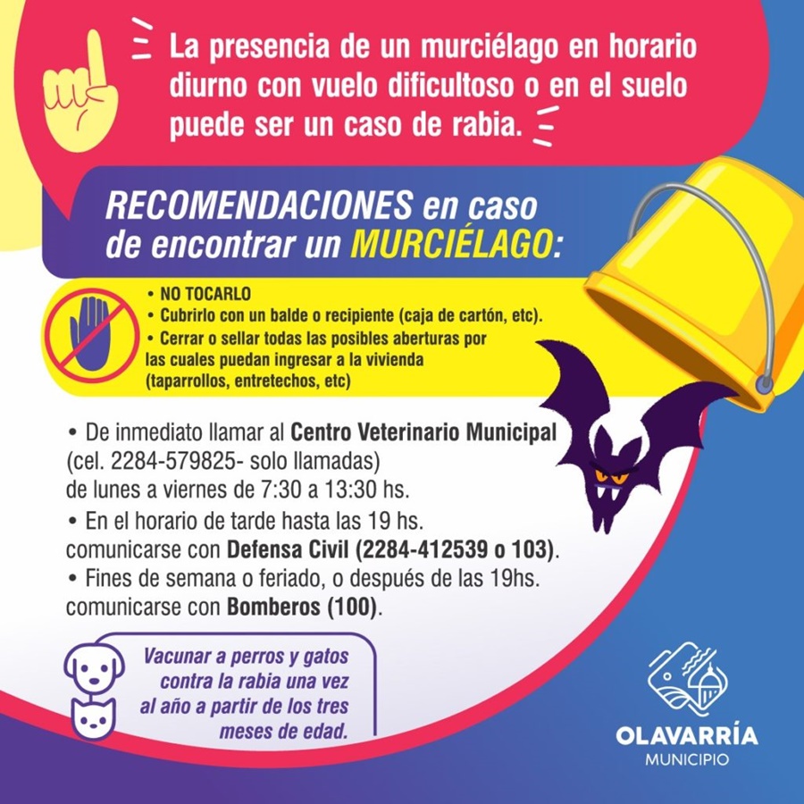 Recomendaciones de cómo actuar