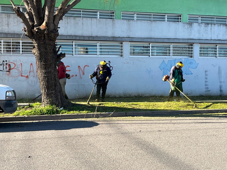 jornada