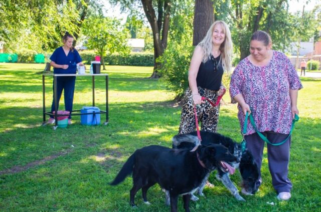Continúa la campaña de