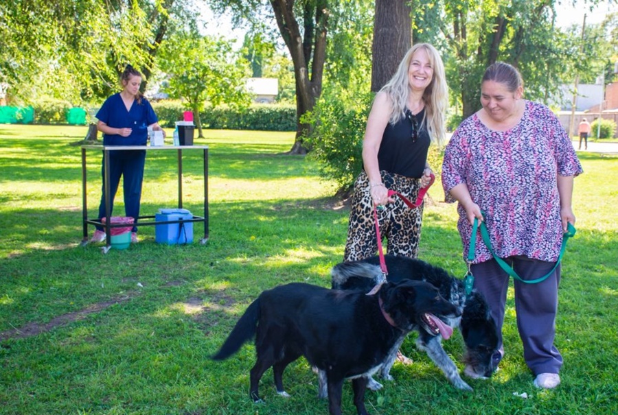 Continúa la campaña de
