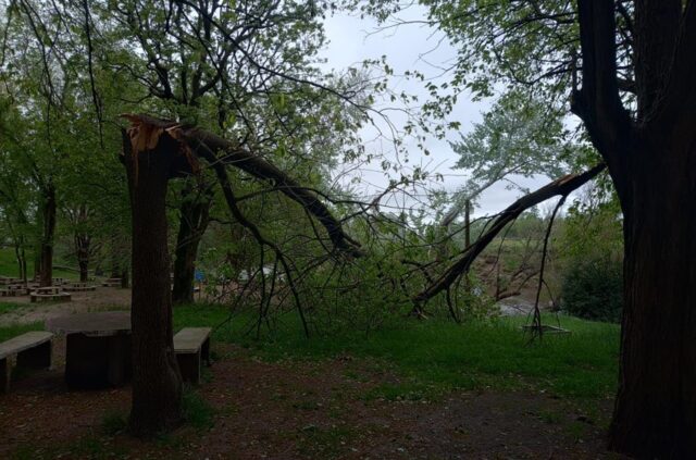 Destrozos por la tormenta