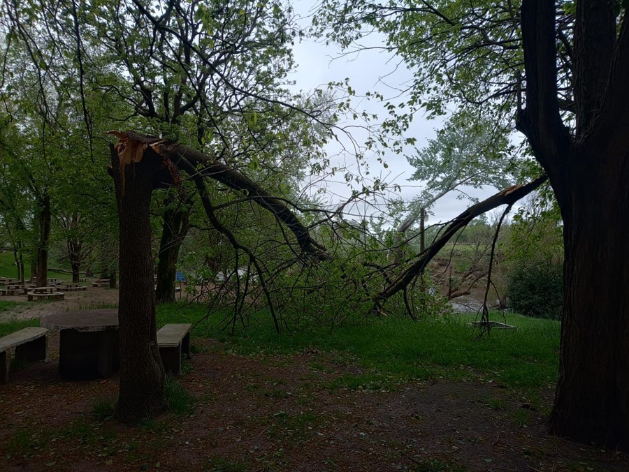 Destrozos por la tormenta