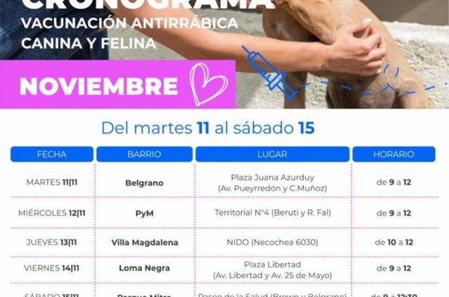 Continúan con la campaña