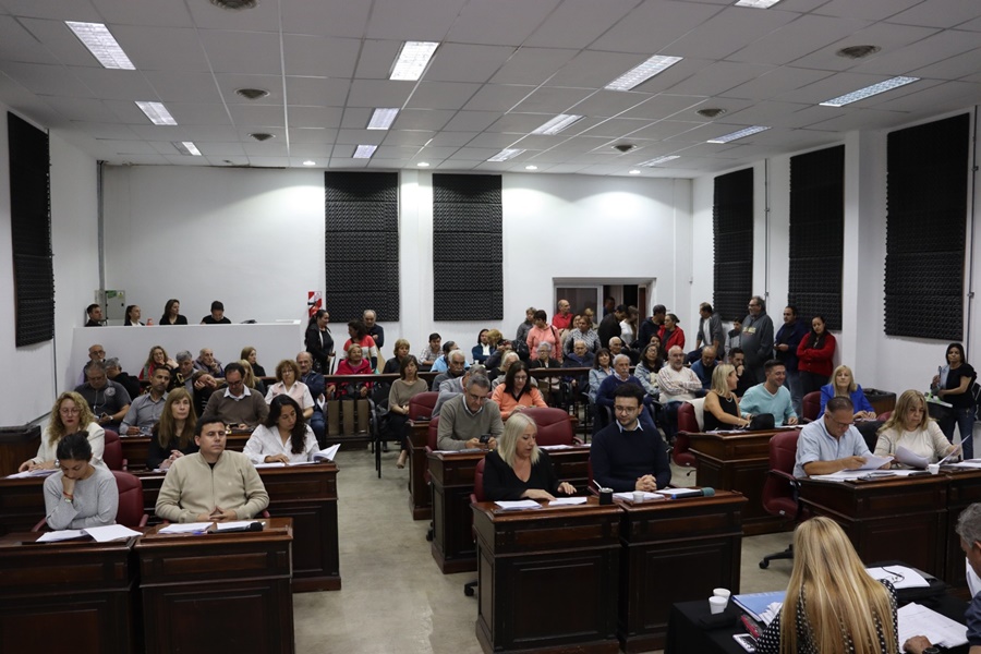 El Concejo Deliberante pide