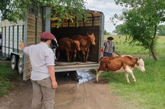 Entregaron a la escuela