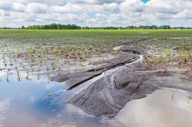 La Provincia exime del