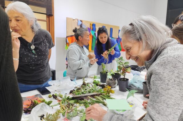 Se desarrolló el segundo