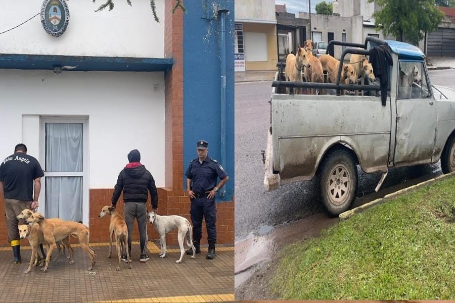 Sorprenden a dos hombres