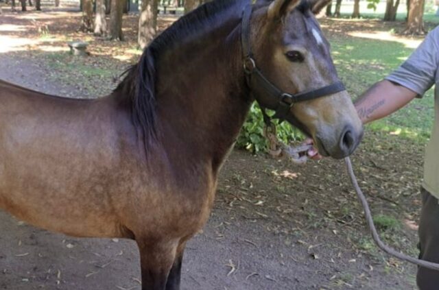 Personal de Protección Ciudadana