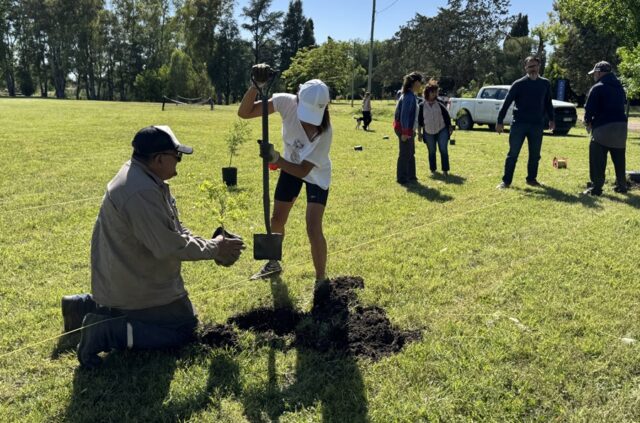 Se realizó una plantación