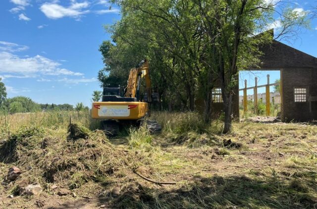 Trabajos de limpieza en