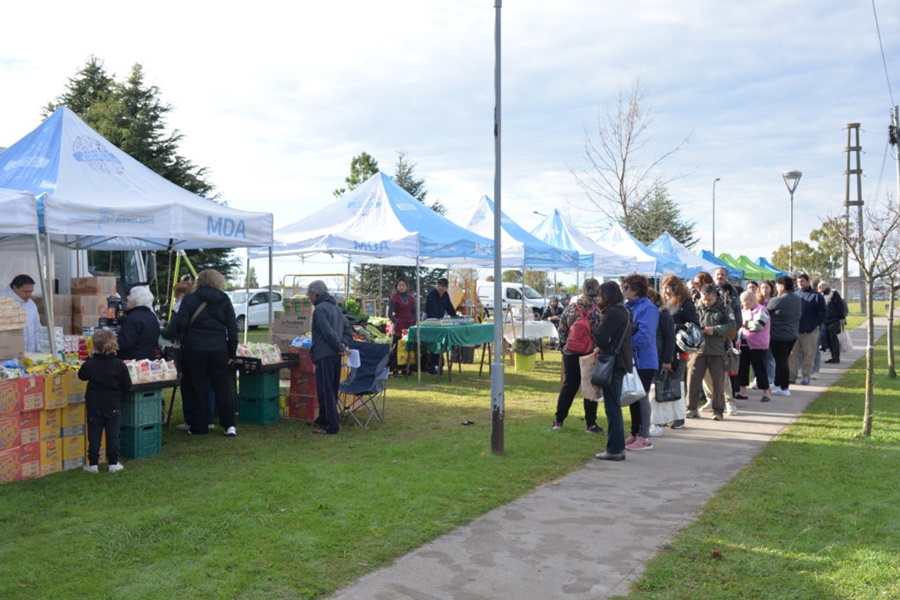 El próximo viernes se