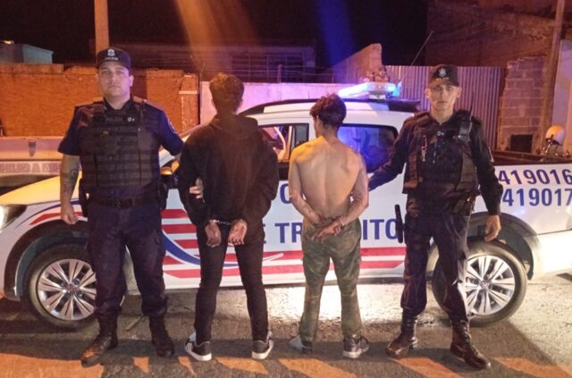 Dos detenidos por el