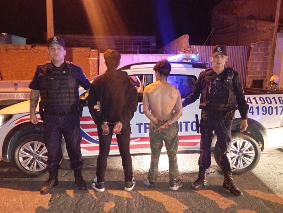 Dos detenidos por el