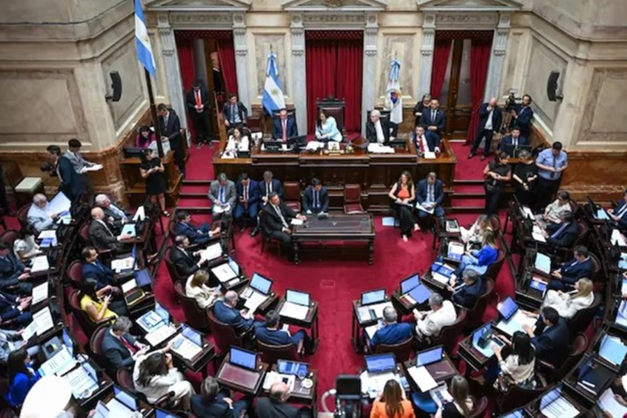 El Senado debate la