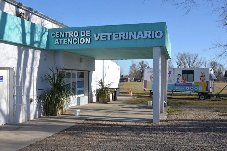 Por el paro de