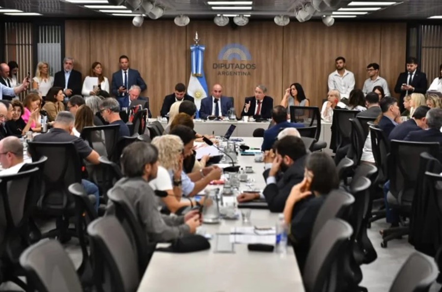 Comienzan las audiencias públicas