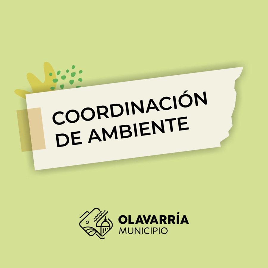 Educación ambiental en las