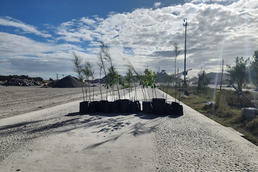 El vivero
