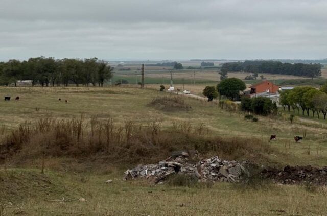 La UCR solicita información