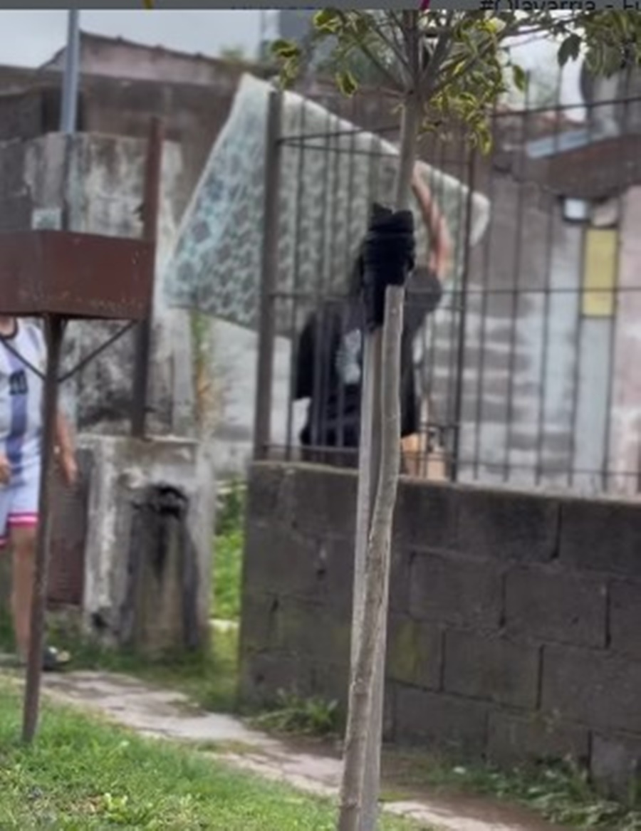 Olavarría tras el temporal