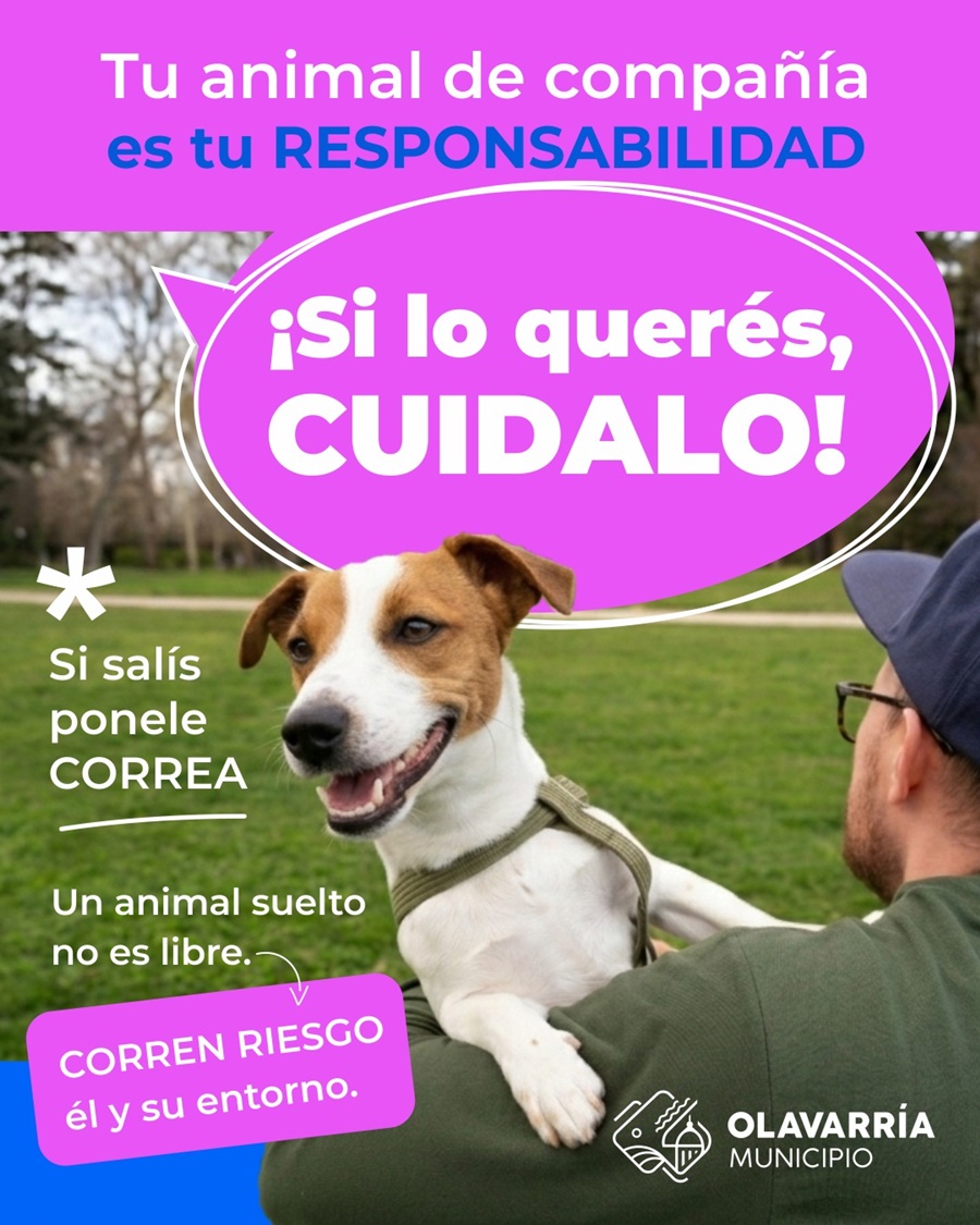 Tu animal y responsabilidad