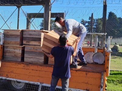 Articulación Municipio