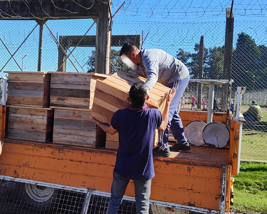 Articulación Municipio