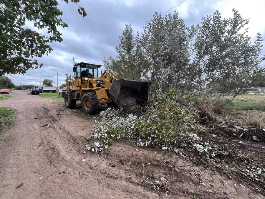 Continúan con el despliegue