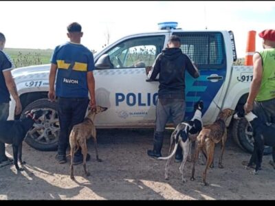 Operativo contra la caza