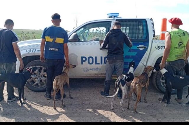Operativo contra la caza